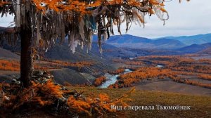 Алтай словами не описать