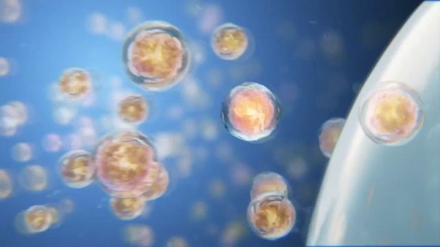 Elmex – zubná pasta odporúčaná zubnými lekármi смотреть онлайн