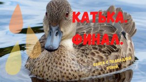 Катька. Финал.Охота с подсадной уткой.