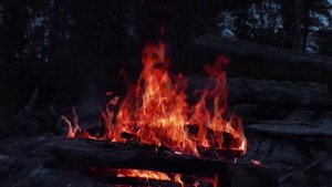 The sound of the night - forest and fire / Звук ночи - лес и огонь