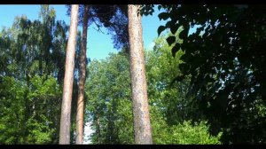 Видеоштатив GreenBean HDV Elite 756 (4K)