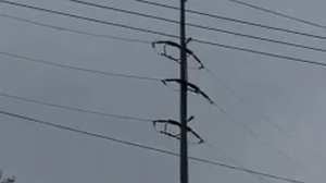 Короткое замыкание на ВЛ