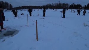 Ловля форели на платнике на поставушки и актив