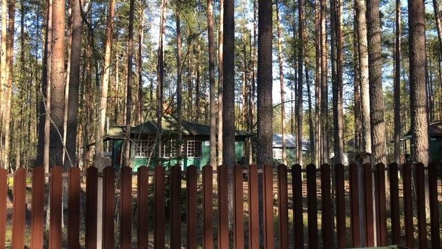 На сутки в Комарово.            #путешествия #санктпетербург #ленинградскаяобласть #дача #залив