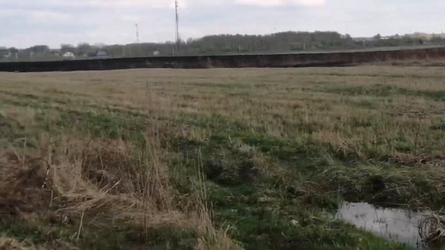 КАК АКВАРИУМИСТЫ ПРОВОДЯТ 1 МАЯ? l СХОДИЛИ НА ПРУДИКИ, РАССКАЗАЛИ АНЕКДОТЫ И НЕМНОГО ПОТРУДИЛИСЬ!) смотреть онлайн