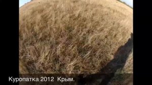 Охота в Крыму на куропатку
