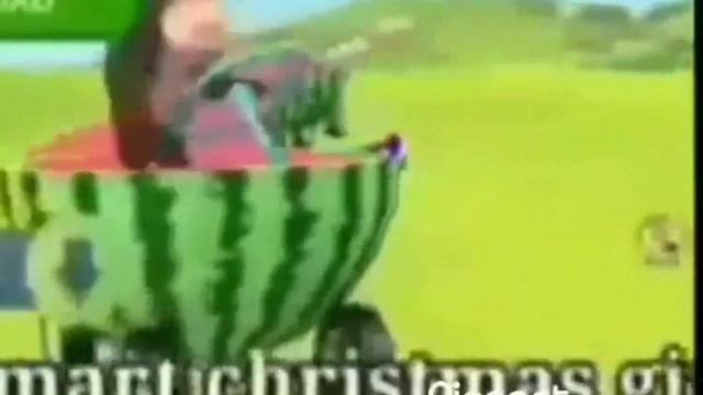 Обезъяна едет в арбузе | ШОК Контент ПЗДЦ смотреть онлайн