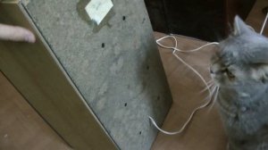 Вега 50АС-106 проедимся за колонками