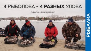 4 ВЕСЕННИЕ тактики на ФИДЕР. Рыбачим и взвешиваем улов!