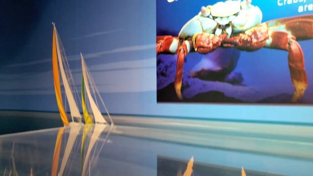 SEA LIFE Michigan Aquarium | Sea Life Aquarium Re open | смотреть онлайн