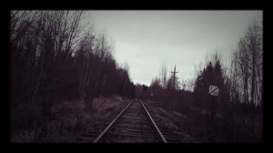РЭКСЮНЯ,.. .ЛЕТО 2015,..ЛУЖЕСНО,.ГСХУ...ВИТЕБСКИЕ КРАЯ ,..СССССР 2016 год !!!!!,...
