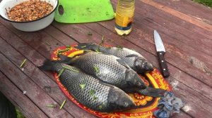Коптим сазана просто пальчики оближешь Как правильно закоптить рыбу