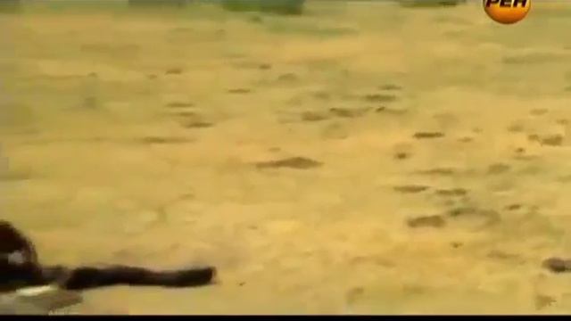 Секретные территории Закоулки Вселенной