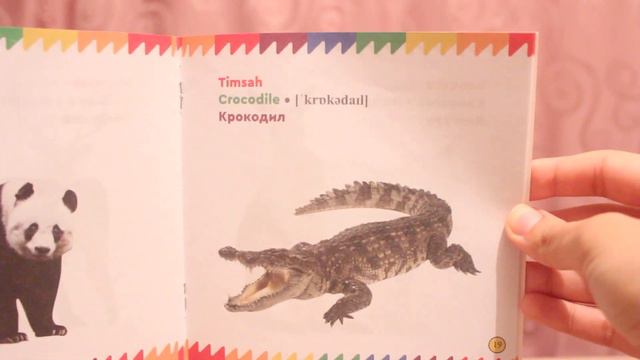 Дикие животные. Книга "Мои первые слова"-2 часть. смотреть онлайн