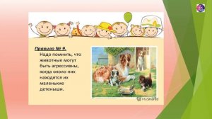 Правила безопасности при контакте с животными