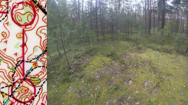 02_08_24_Видогощи_Тверь_М16_headcam orienteering