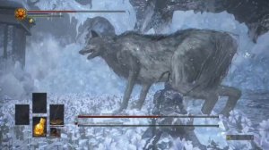 DARK SOULS 3 хранитель могилы чемпиона