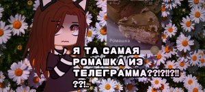 Пранкую свою команду\ телеграмм переписки \ гача клуб