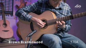 Acoustic Guitar LAG T70A