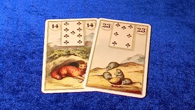 Множество вариантов значений карт Ленорман. Как определить точное.
