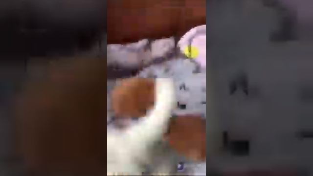 РАЗОБЛАЧЕНИЕ НА ДЕКАРТ 3 ЧАСТЬ!