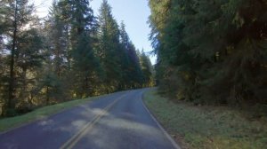 Дождевой лес. Национальный парк Олимпик 2 / Hoh Rain Forest. Olympic National Park 2