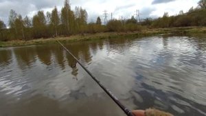 Бюджетник для твичинга. Обзор спиннинга Norstream Rooky