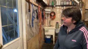 #коровник Самый лучший и самый удобный Коровник в Канадской Деревне!