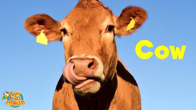 I Like Animals - Animals Song for Kids - Learn 12 Animal Names - ESL for Kids - Fun Kids English смотреть онлайн