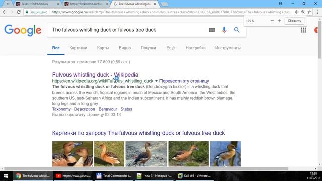 Полуразбор тасков на сжатие и стеганографию смотреть онлайн