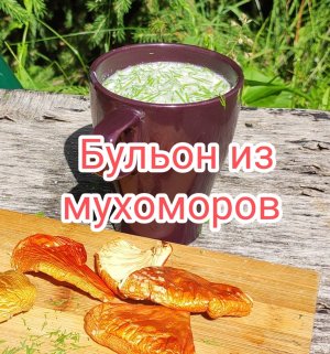 Как заваривать мухомор. Рецепт