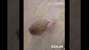 *Что делать когда чешется спина . Наверное это многие видят впервые .*