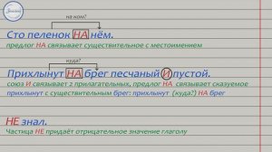 Русский язык 5 класс  Самостоятельные и служебные части речи