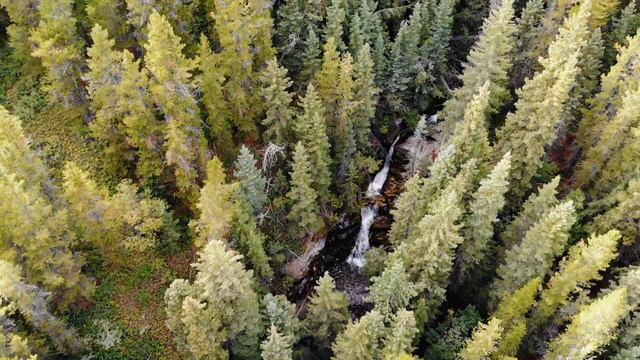 Troll Falls trail | Kananskis Country | Explore Alberta смотреть онлайн