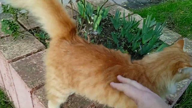 18 ноября 2023 г. смотреть онлайн