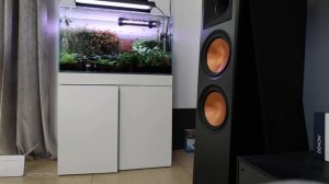 Klipsch RP 8000F + Onkyo TX-8390 + Dire Straits