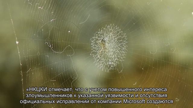 ФСБ заинтересовалась проблемами Windows смотреть онлайн
