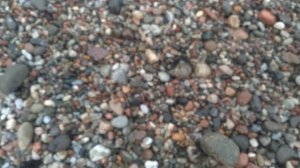 Окаменелости Балтики в Отрадном.  Балтика.