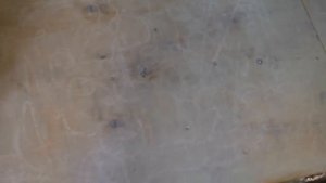 3D полы. Правильная технология наливных 3d полов.