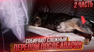2 часть. День операции собаки, которую сбила машина. Перелом очень тяжелый. На узи обнаружена киста.