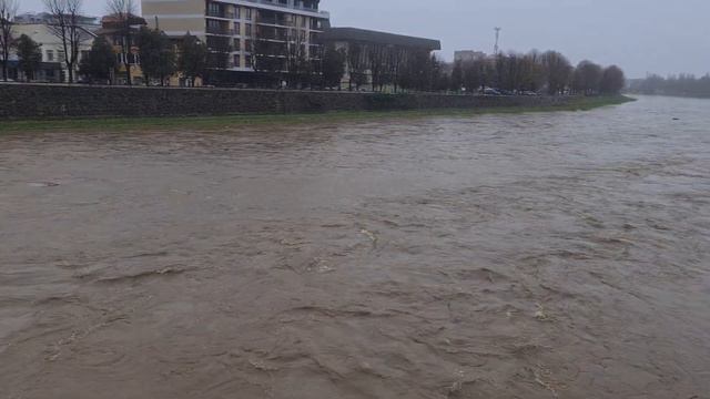 Река Уж сразу после ливня 11.12.22 смотреть онлайн