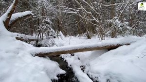 Памятник природы «Родник»