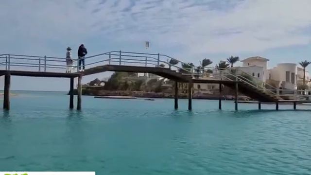 El gouna Stadtrundfahrt & Lagunenfahrt El gouna Privater Ausflug Hurghada смотреть онлайн