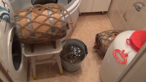 Подготовка дубовой бочки. Часть 1. Вымачивание