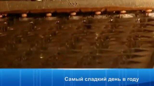 Всемирный День шоколада самый сладкий день в году смотреть онлайн