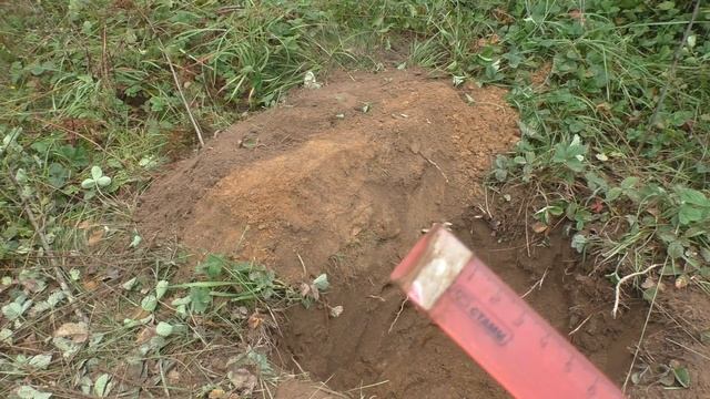 Катушка АКА 6х10 20 кГц АКА Сигнум / Тест катушки на чешую - 20 см в земле смотреть онлайн