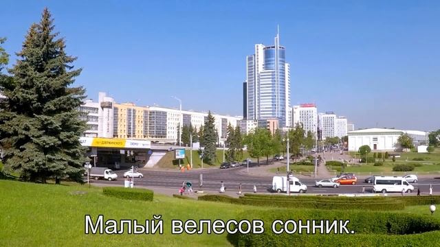 К чему снится Драма? Толкование сна по сонникам Ванги и Фрейда