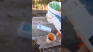 подкормка клубники на увеличение плода. увеличиваем ягоду