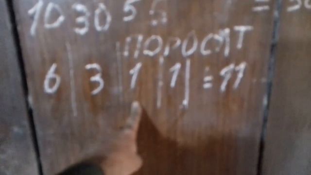 Кормление поросят без БМВД и ПРЕМИКСА. Как Я кормлю поросят от 15 дней до 2 месяцев. 09.10.20