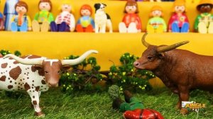 COW VS. BULLS BATTLE!! "Jungle Daddy" cow toys for kids schleich safari ltd mojo farm animals